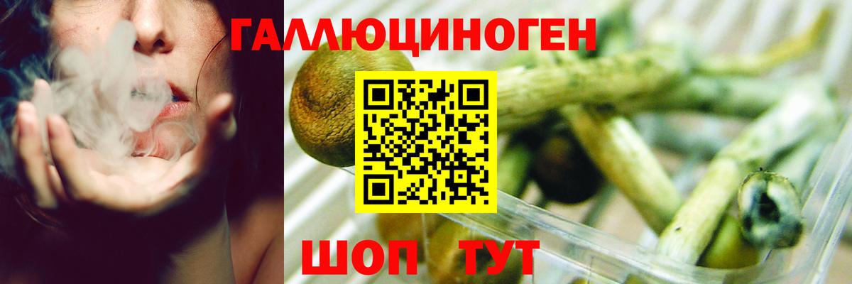 Артёмовский  Псилоцибиновые грибы Psilocybe  Вход с VPN  Галлюциногенные грибы ЛСД 